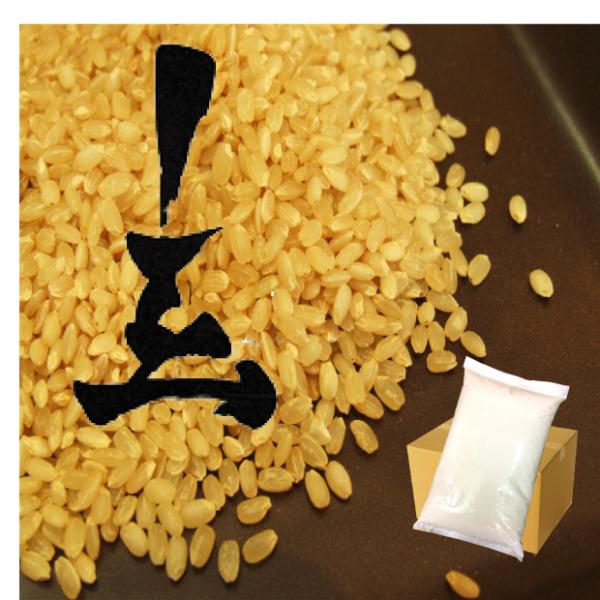 令和4年産】京都府産 減農薬 丹後こしひかり 玄米5ｋｇ （白米精米→約