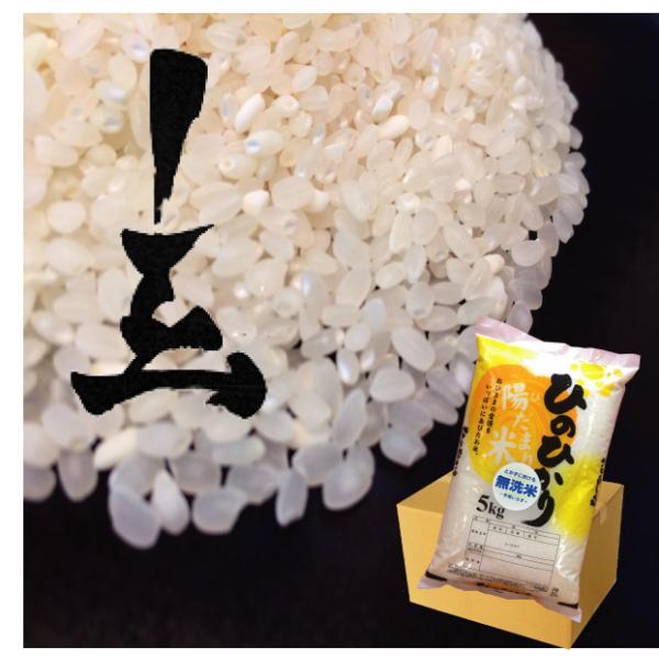 令和5年産】無洗米 京都府産 ひのひかり5kg ヒノヒカリ お米 2023 