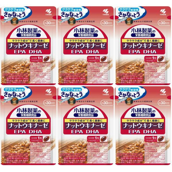 他サイト： 小林製薬 ナットウキナーゼ EPA DHA 30粒 ×6個 サプリメント 納豆 青魚 血流 健康維持《1セットまでクロネコゆうパケット》の商品画像