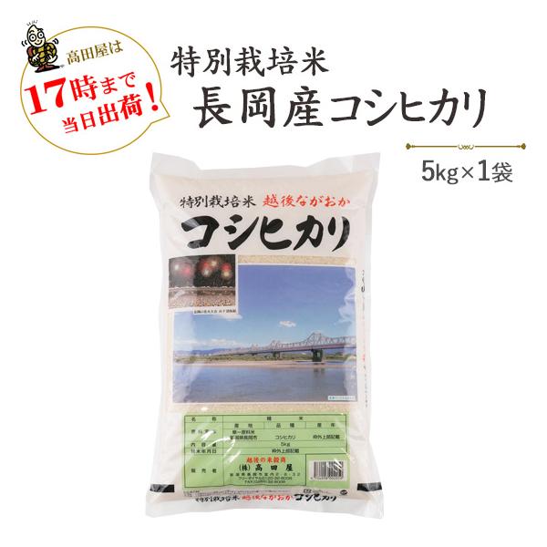 ߘaVNY@Vā@ā@ā@5kg V ʍ͔|ĒYRVqJ@5kg×1܁@iꕔnj