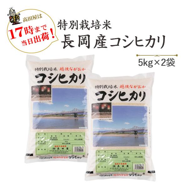 令和７年産 白米 10kg 新潟県 特別栽培米 長岡産コシヒカリ 5kg×2  当日発送 ※送料無料(一部地域を除く)