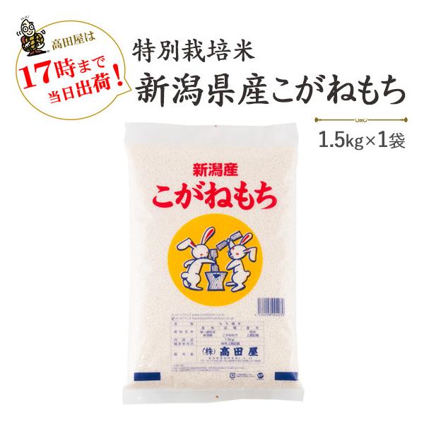 こがねもち 令和6年産 もち米1.5kg 特別栽培米 新潟産こがね こがねもち 令和6年産 もち米1.5kg 特別栽培米 新潟産こがね