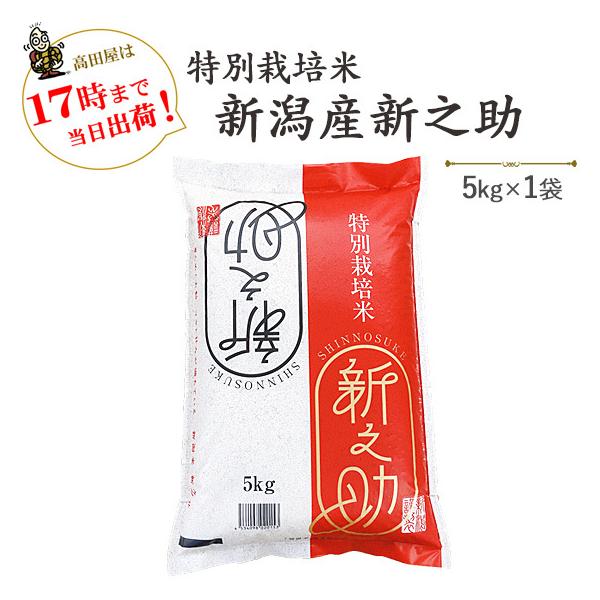 令和４年産　お米 5kg 白米 特別栽培米 新潟産新之助  5kg×1袋　※送料無料（一部地域を除く）