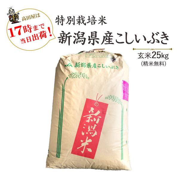 令和５年産 お米 25kg 特別栽培米 新潟産こしいぶき 玄米25kg×1袋 / 白米4.5kg×5袋（精米無料） 送料無料（一部地域を除く）