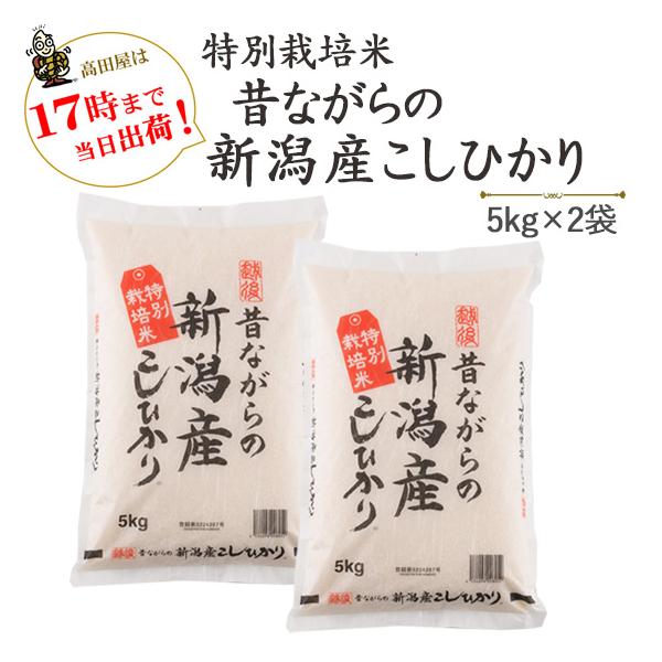コシヒカリ 令和7年産 新米 お米 10kg 特別栽培米 昔ながらの