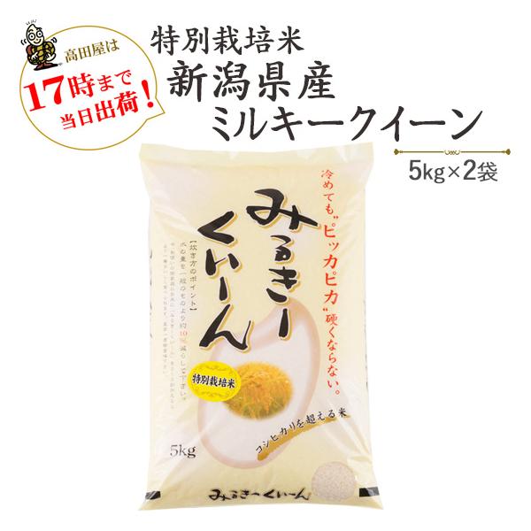 ߘaVNY@Vā@ ā@10kg ʍ͔| VY~L[NC[5kg×Q܁@(ꕔn)