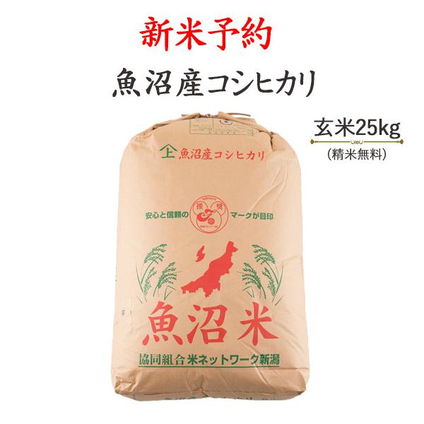 新米 令和5年 埼玉県産 コシヒカリ 玄米 30kg