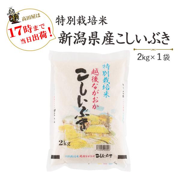 令和７年産　　お米　　2kg　白米　特別栽培米新潟産こしいぶき2kg×1袋  当日出荷　送料無料(一部地域を除く)