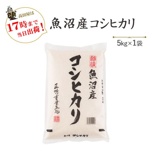 ߘaVNY@Vā@ YRVqJ 5kg×1  ፂc (ꕔn)