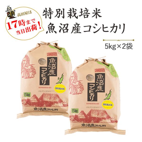 令和７年産　　お米 10kg  津南町ゆきやまと農場限定！特別栽培米魚沼産コシヒカリ　5kg×2袋　※送料無料（一部地域を除く）