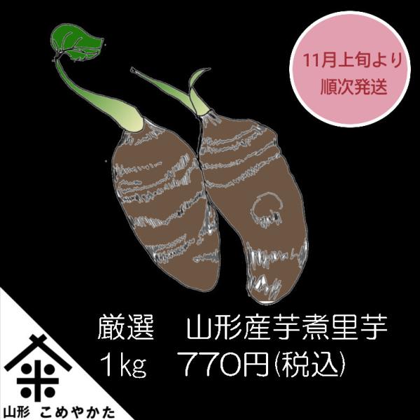 11月上旬より発送　山形県産　芋煮さといも