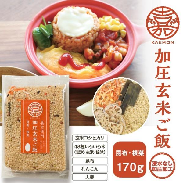 お米 無洗米 新潟産 コシヒカリ 炊込みご飯 1合 無塩 国産 無添加 食べ物 常温 米 アウトドア キャンプ 常備食 災害食 プレゼント 送料無料 玄米根菜