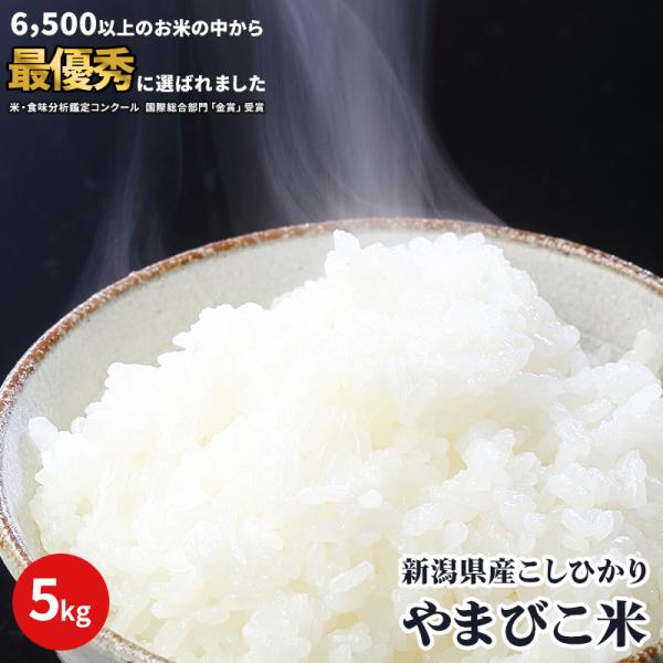御中元 米 5kg 新潟産 コシヒカリ 金賞受賞 やまびこ米 美味しいお米 令和7産 新潟 こしひかり 送料無料 金賞受賞 白米 精米 単一原料 おいしいお米 お中元熨斗