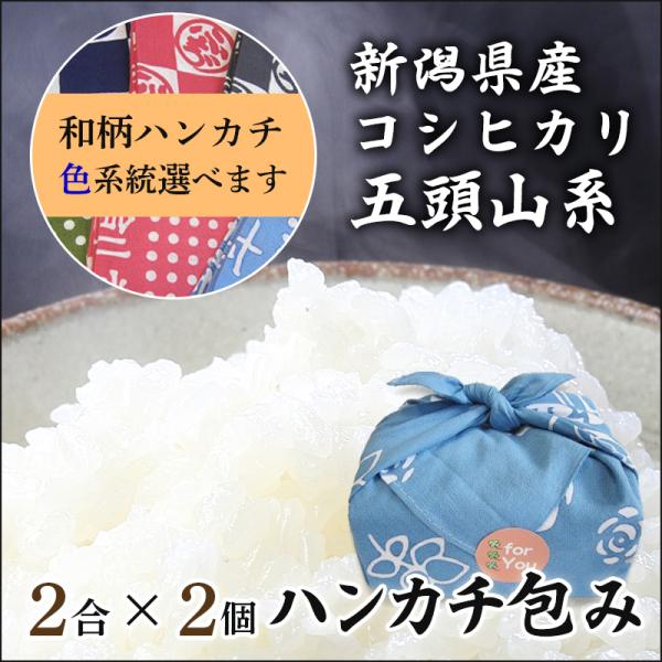 米 ギフト お米 プレゼント 送料無料 美味しい 新潟 コシヒカリ 2合×2個 選べるハンカチ おしゃれ 贈り物 のし 内祝 お祝い 誕生日祝い 父の日 母の日