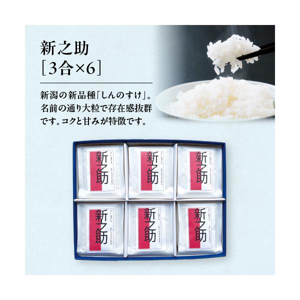 コシヒカリ 米 ギフト 新之助3合×6個 新潟県産 新之助 白米 精米
