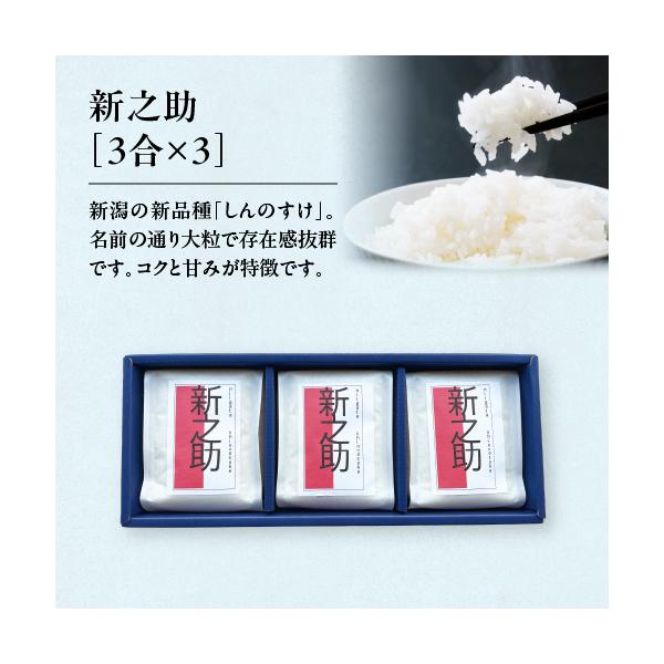 コシヒカリ 新米 米 ギフト 新潟県産 新之助 3合×3 大粒の米 令和7年産