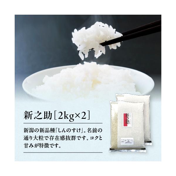 米 新之助 2kg×2 4kg 令和7年産 お米 新潟県産 大粒で食べ応え抜群 送料無料 あすつく 白米 精米 単一原料 小分け 少量 産直 直送 美味しいお米 おいしい米