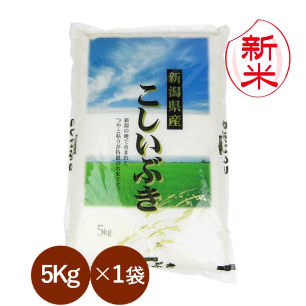 新米 新潟県産 こしいぶき （ 令和8年産 ） 5kg 【 送料無料 （ 本州のみ ）】 白米 玄米 選べます
