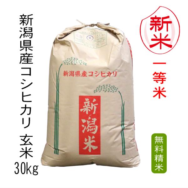 米 30kg 新潟県産コシヒカリ 令和4年産 玄米 30kg 送料無料 本州のみ