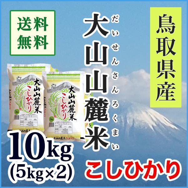 精米 鳥取県産 白米 コシヒカリ 10kg 令和2年産
