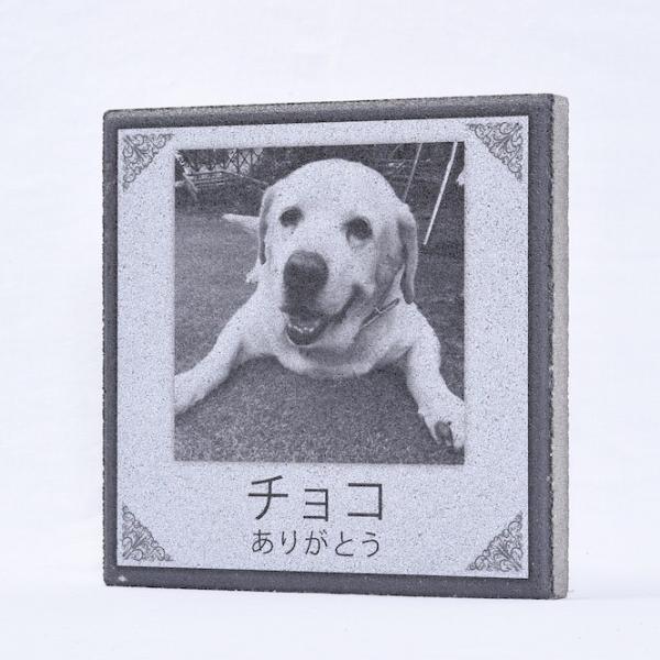 シンプルなモノトーンで上品なデザインで、ペットの写真が中心になります。毎日たくさんの笑顔と笑いをくれたペットの思い出を記念に、ありがとうを込めて。サイズは2サイズ。当ページは300×300×35mmになります。重さは約5.2kgです。