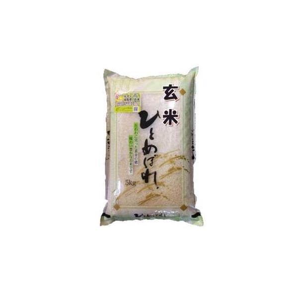 会津 米 - 玄米の人気商品・通販・価格比較 - 価格.com