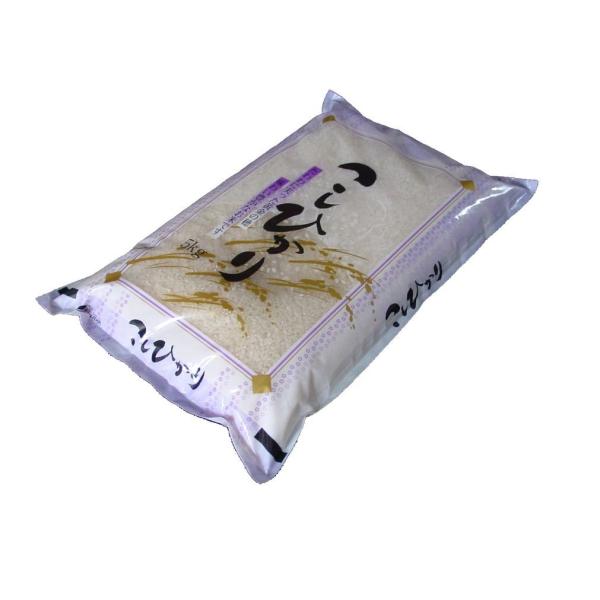 yāz Y ÃRVqJ5kg ߘa7NY