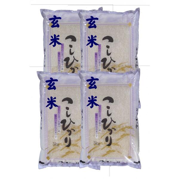 玄米】 「会津産コシヒカリ20kg (5kg×4袋) 令和7年産石抜き処理済 : 米