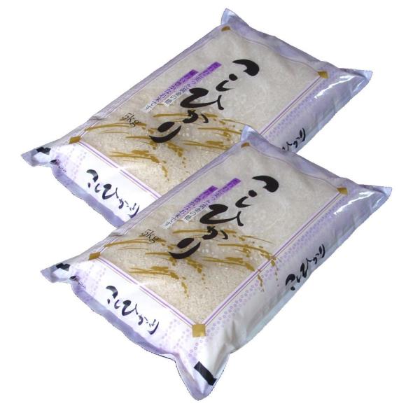 yāz YÃRVqJ10kg i5kg×2) ߘa6NY
