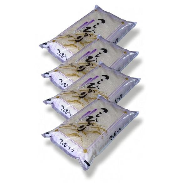 yāz YÃRVqJ20kg i5kg×4) ߘa7NY