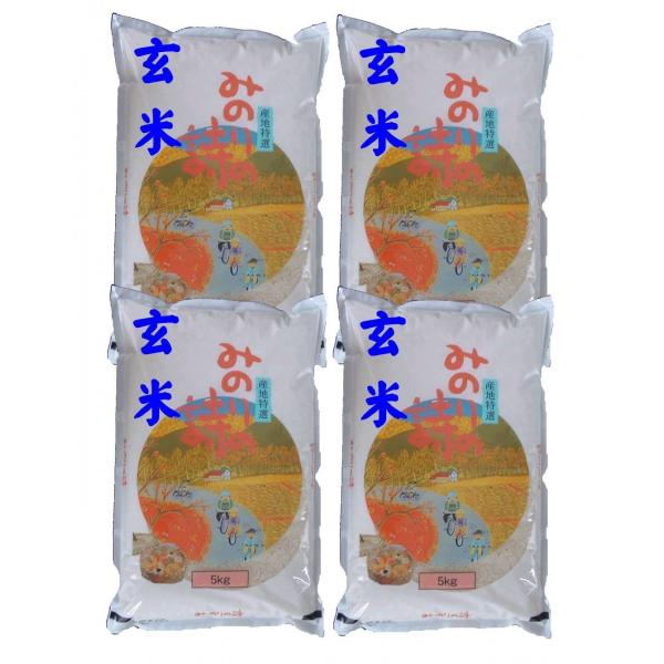 yāz Y`jVL20kg@(5kg×4) ߘa7NY Δ