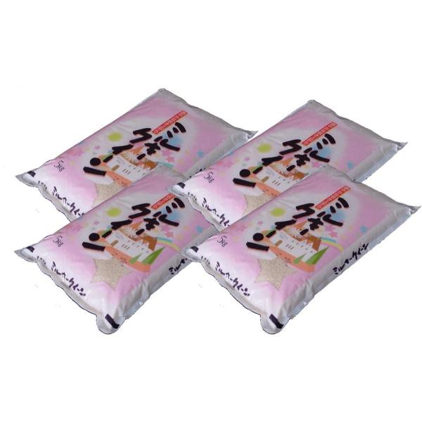 yāz Y ~L[NC[20kgi5kg×4) ߘa7NY