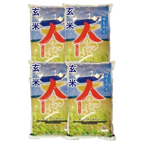 yāz YV̂ 20kg i5kg×4 ܁jߘa7NYΔ