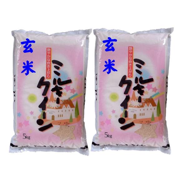 yāz Y~L[NC[10kg@i5kg×2) ߘa7NYΔ