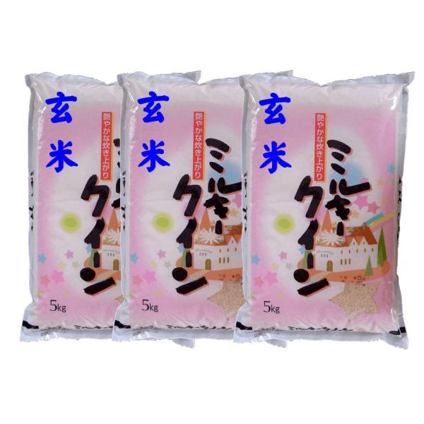 yāz Y~L[NC[15kg@i5kg×3) ߘa7NY@Δ