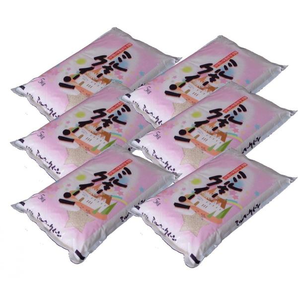 yāz Y~L[NC[30kgi5kg×6) ߘa7NY