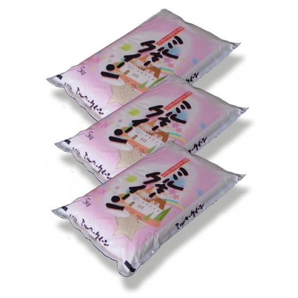 yāz Y~L[NC[15kgi5kg×3) ߘa7NY