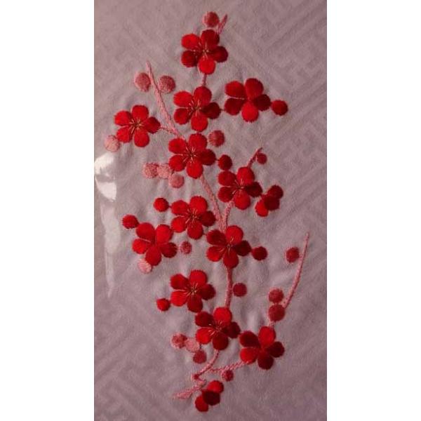  ܎Op@qhJ݁@~@|GXe100sNn@hJ@[100ԃsNAgp