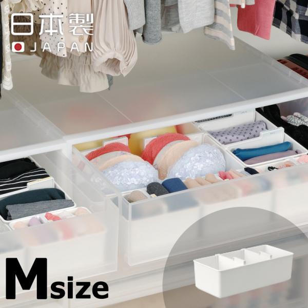 [P[XM { o P[X P[X Ci[EGA[ CP[X d؂t CfbNXV[ Cm}^w inomata 