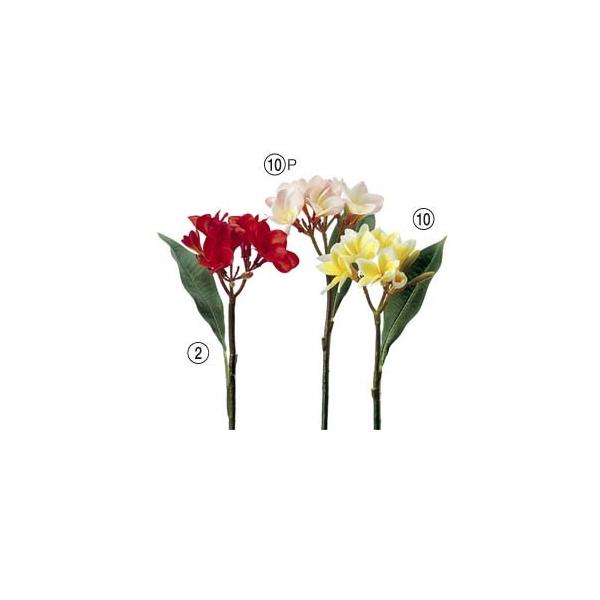  Ԃ̂ vA×9 ڂ×9k×6{lAWg/ԍ/A[gt[/CeA