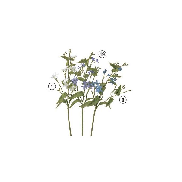  Ԃ̂ u[X^[×18k×24{lAWg/ԍ/A[gt[/CeA