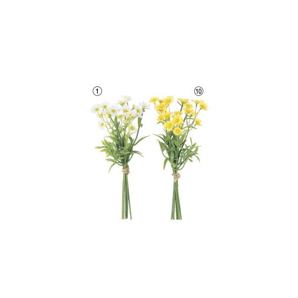  Ԃ̂ f[W[×21i16{jk×24lAWg/ԍ/A[gt[/CeA