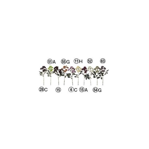  Ԃ̂ ||[Y×11k×24{lAWg/ԍ/A[gt[/CeA