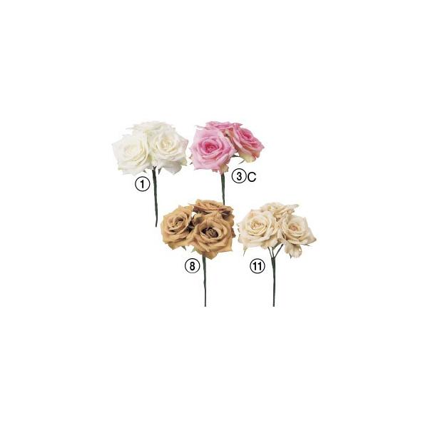  Ԃ̂ _Ch[YsbN×3k×12{lAWg/ԍ/A[gt[/CeA