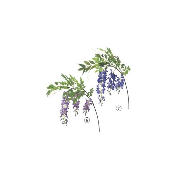  Ԃ̂ EBXeA×3k×6{lAWg/ԍ/A[gt[/CeA