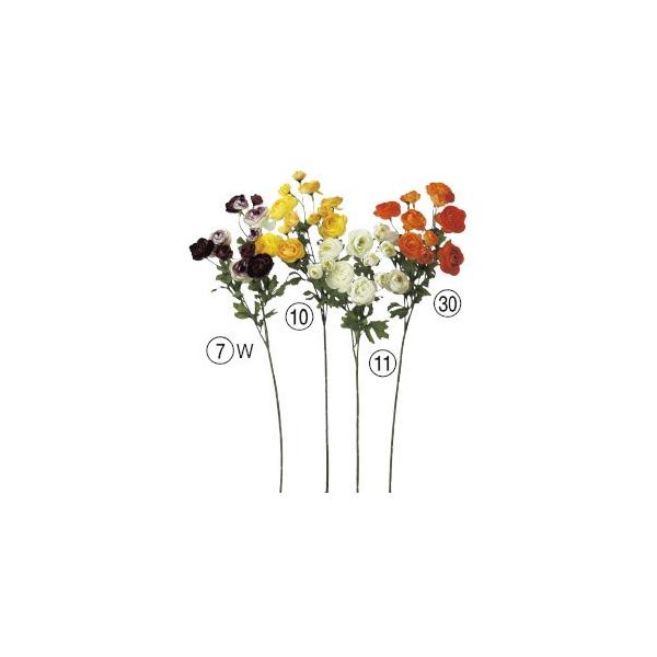  Ԃ̂ iLX×12k×12{lAWg/ԍ/A[gt[/CeA