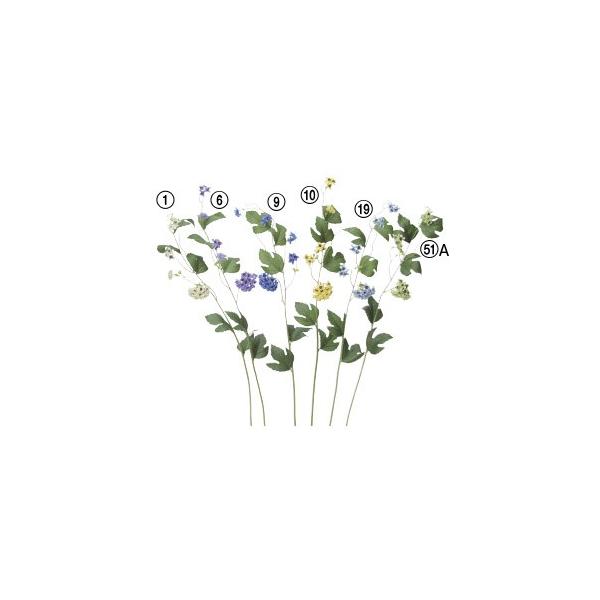  Ԃ̂ ro[ik×12{lAWg/ԍ/A[gt[/CeA