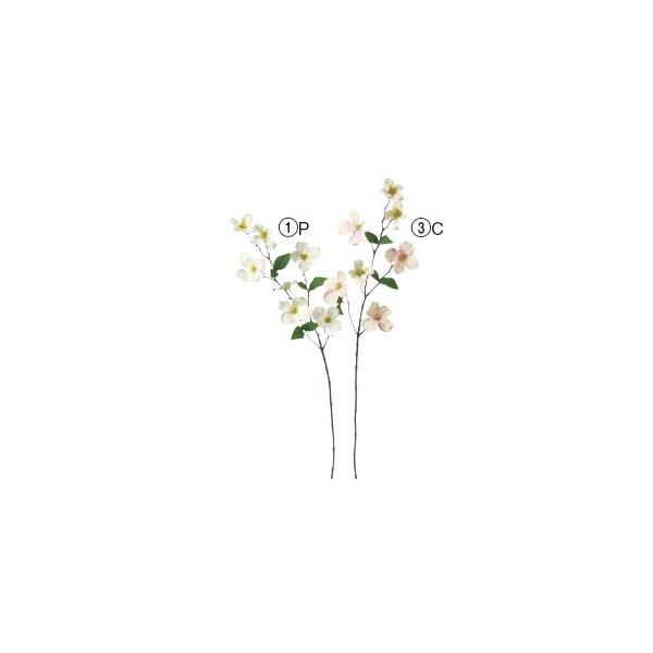  Ԃ̂ Ԑ×7k×12{lAWg/ԍ/A[gt[/CeA