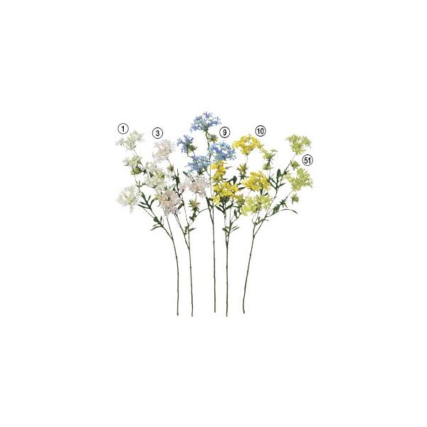  Ԃ̂ NC[AY[Xk×12{lAWg/ԍ/A[gt[/CeA