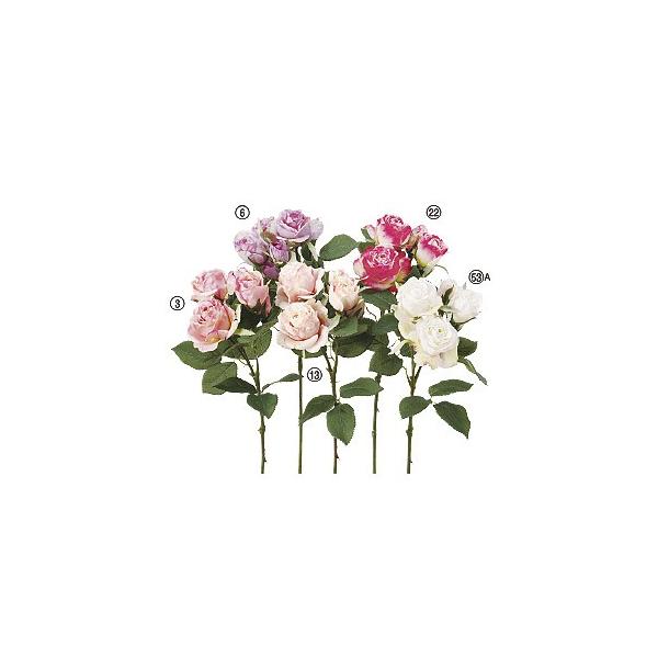  Ԃ̂ [Y×3 ڂ×2k×12{lAWg/ԍ/A[gt[/CeA